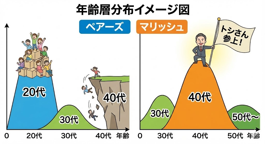 年齢層の分布イメージ図。